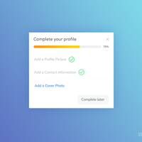 Completeness Meter UI Design
