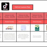 TitkTok Content Plan