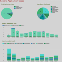 General Application Usage Report