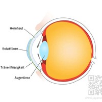 Medical illustrations