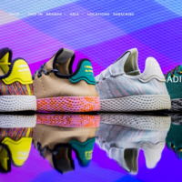 Ecomerce Development