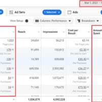 Facebook Ads Results