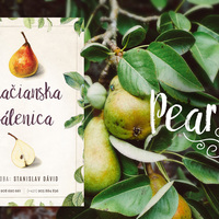 Distillery Bottle Label - Pear