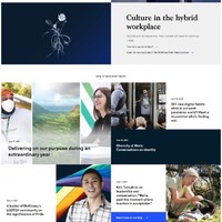 Portfolio Thumbnail 35