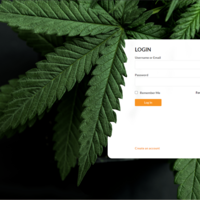 CMS for community social and forum 