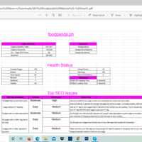 SEO Audit3