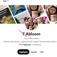 Pinterest ads campaign 