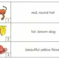 Match the images to words.