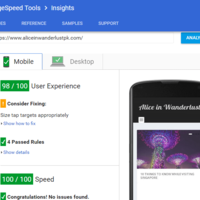 AliceInWanderlust PageSpeed Insights Mobile