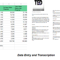 Data Entry and Transcription Tasks