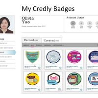 Credly Badges earned