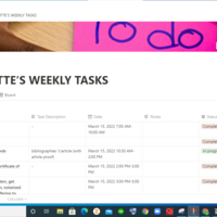 Notion (Project Management and Task Coordination)