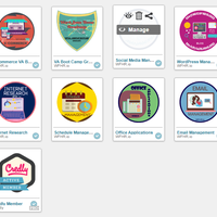 Credly Badges