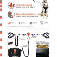 https://www.roverroamer.com/