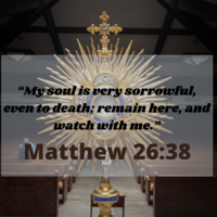 Portfolio Thumbnail 2