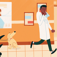 Portfolio Thumbnail 3