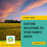 Portfolio Thumbnail 5