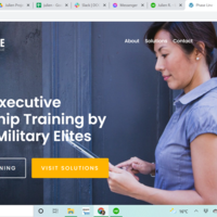 phaselinellc.com