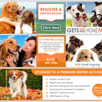 Products Marketing Banner Design