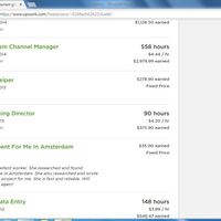 Work History and Background