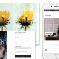UI,UX design for Indigo App