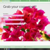 Creating email campaigns with sign-up form and landing pages
