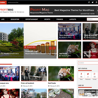 Profitmag Pro WP Theme, http://themepalace.com/downloads/pro