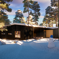 Villa Kettukallio | Private house 3D Exterior rendering