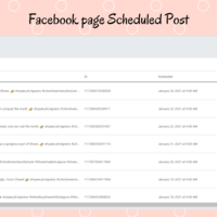 FB Page Scheduling Post