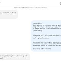 Shopify Customer Service (Live chat)