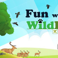 Fun With Wildlife | ANDROID