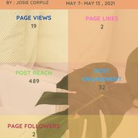 SOCIAL MEDIA INSIGHTS REPORT