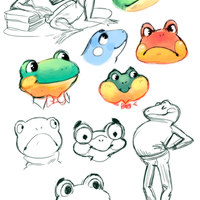 Frog design studies.