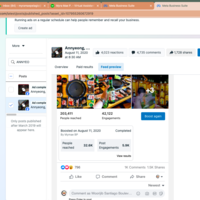 Facebook Ads (reached 205,000 people)