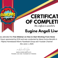 FHMoms Free Webinar
