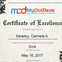 General Virtual Assistant Certification