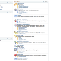 Functional Lead for HRIS (Peoplesoft) 