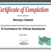 Ecom Certificate