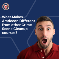 Portfolio Thumbnail 8