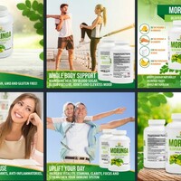 Product Listing
