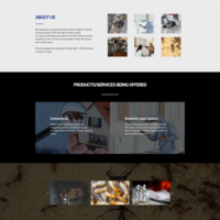 Website