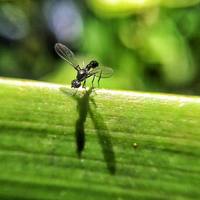 Portfolio Thumbnail 15