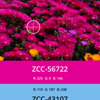 Mobile(iOS), Swift, Color Picker