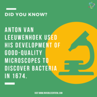 Portfolio Thumbnail 13