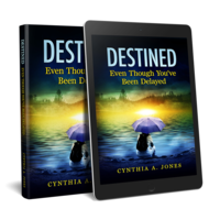 Pre-made cover for destiny novel