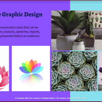Graphic Design sample