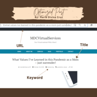 Optimized Page, Post, Photo