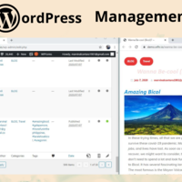 WordPress