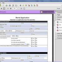 PDF form