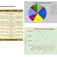 Sales line graph and pie chart 